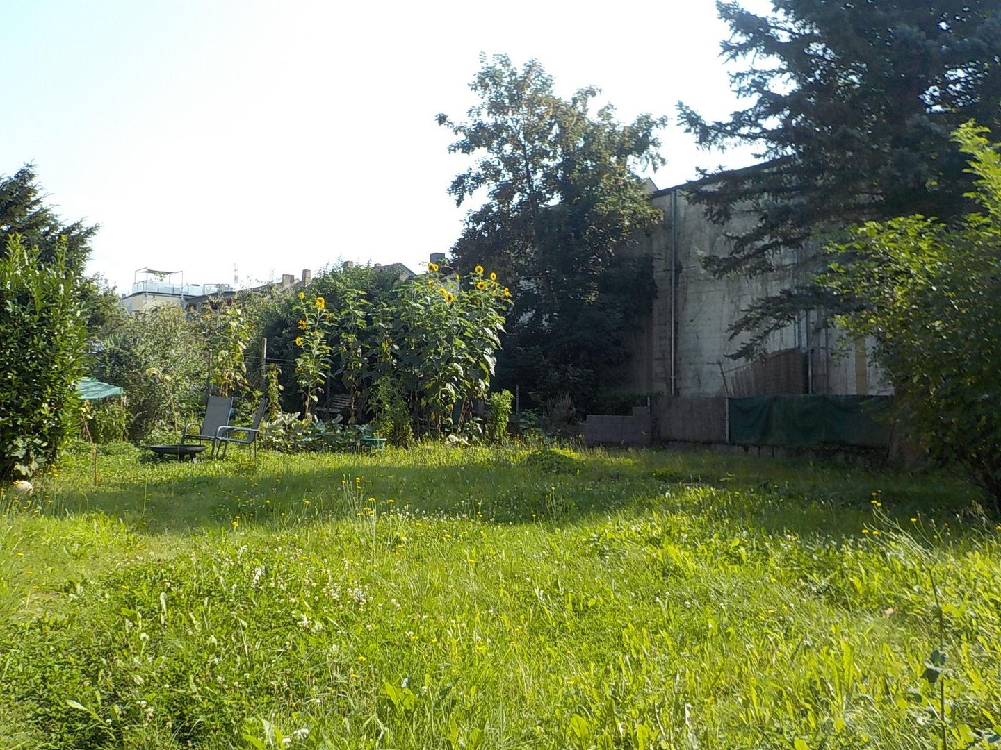2 ZKB DG Wohnung Ko-Neuendorf, grün und zentral – Koblenz – Vorschaubild 2