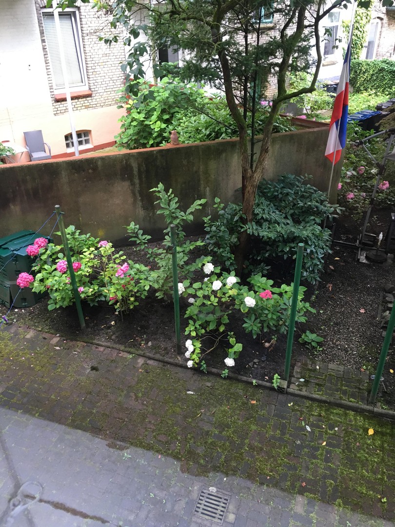 Helle, schöne und gepflegte Altbauwohnung mit Dielenfussboden und Einbauküche – Kiel – Vorschaubild 15