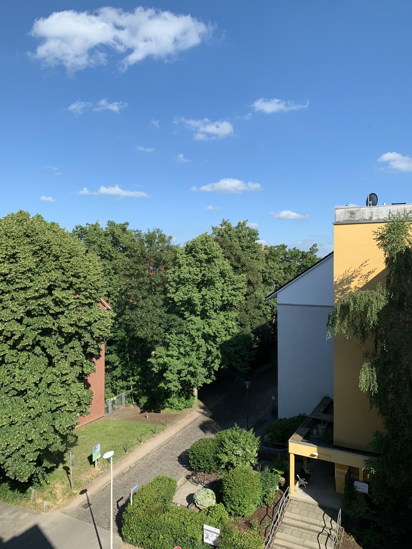 Helle, schöne und gepflegte Altbauwohnung mit Dielenfussboden und Einbauküche – Kiel – Vorschaubild 19