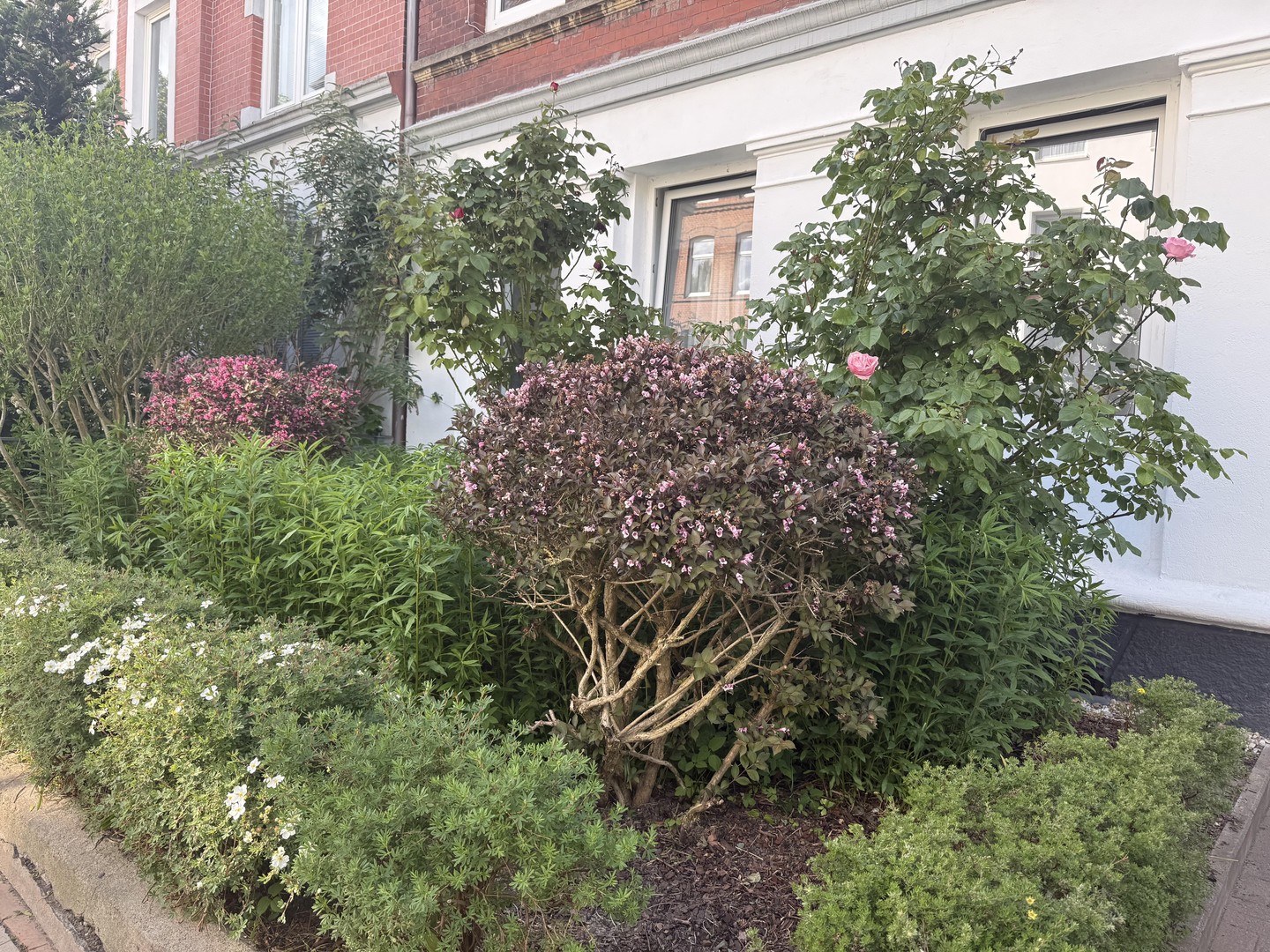 Helle, schöne und gepflegte Altbauwohnung mit Dielenfussboden und Einbauküche – Kiel – Vorschaubild 35