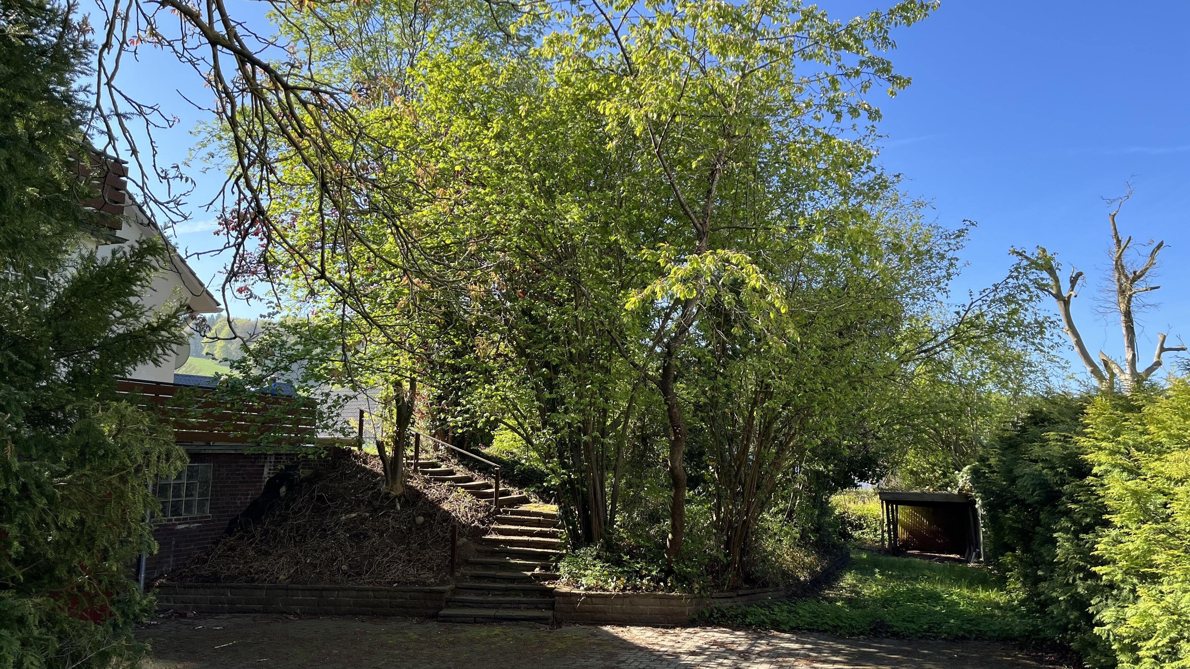 Mehrgenerationenhaus auf großem Grundstück – Osnabrück – Vorschaubild 10
