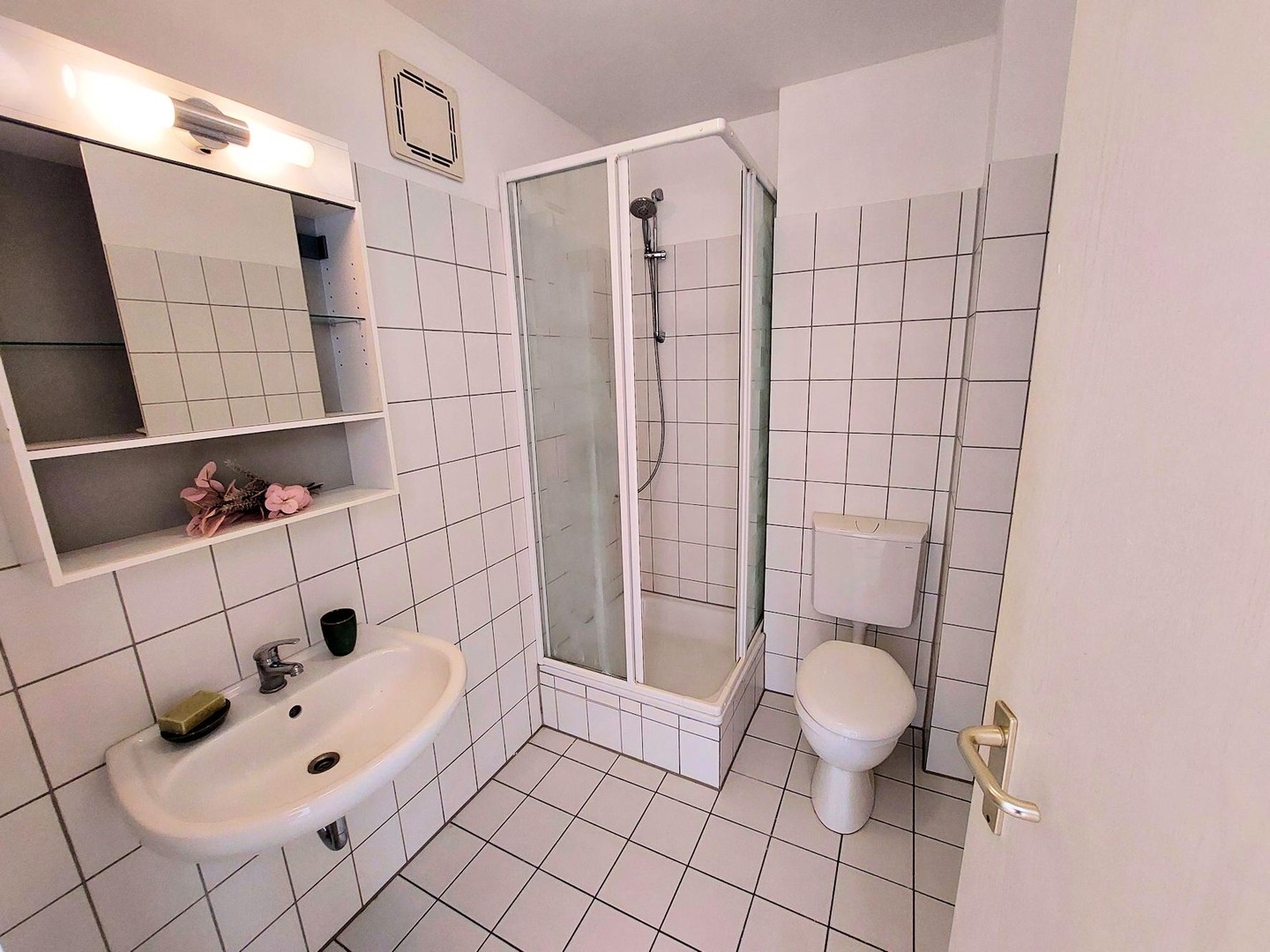 Frisch renovierte und geräumige 1-Zimmer Wohnung mit sehr guter Anbindung – Fürth – Vorschaubild 7