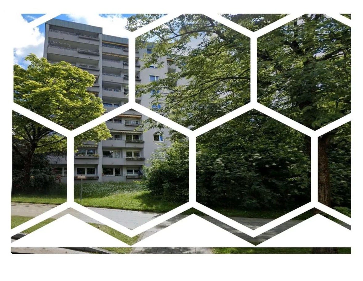 Großzügige helle 3 Zimmer Wohnung im Grünen von Hadern