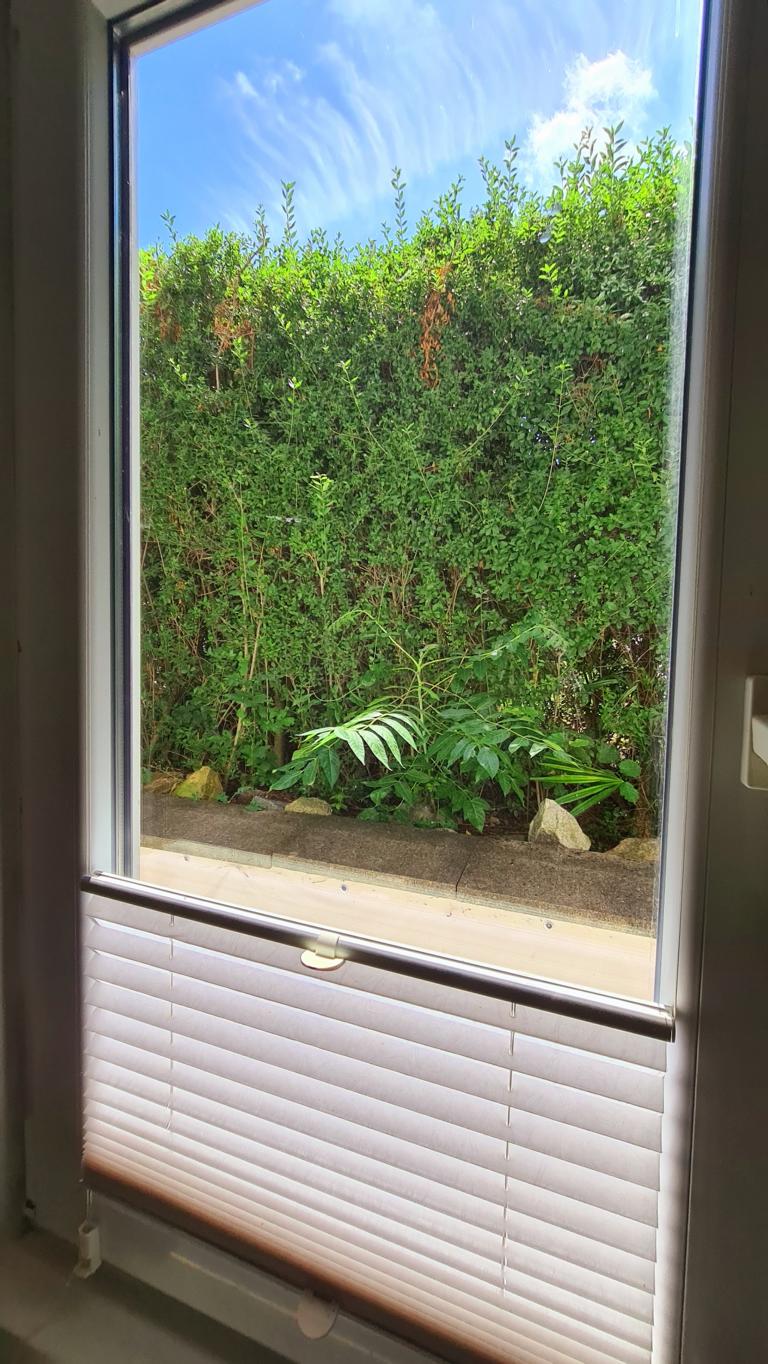 Schönes 2-Zimmer-Apartment im Hochparterre, in Nähe zum Hbf – Essen – Vorschaubild 8