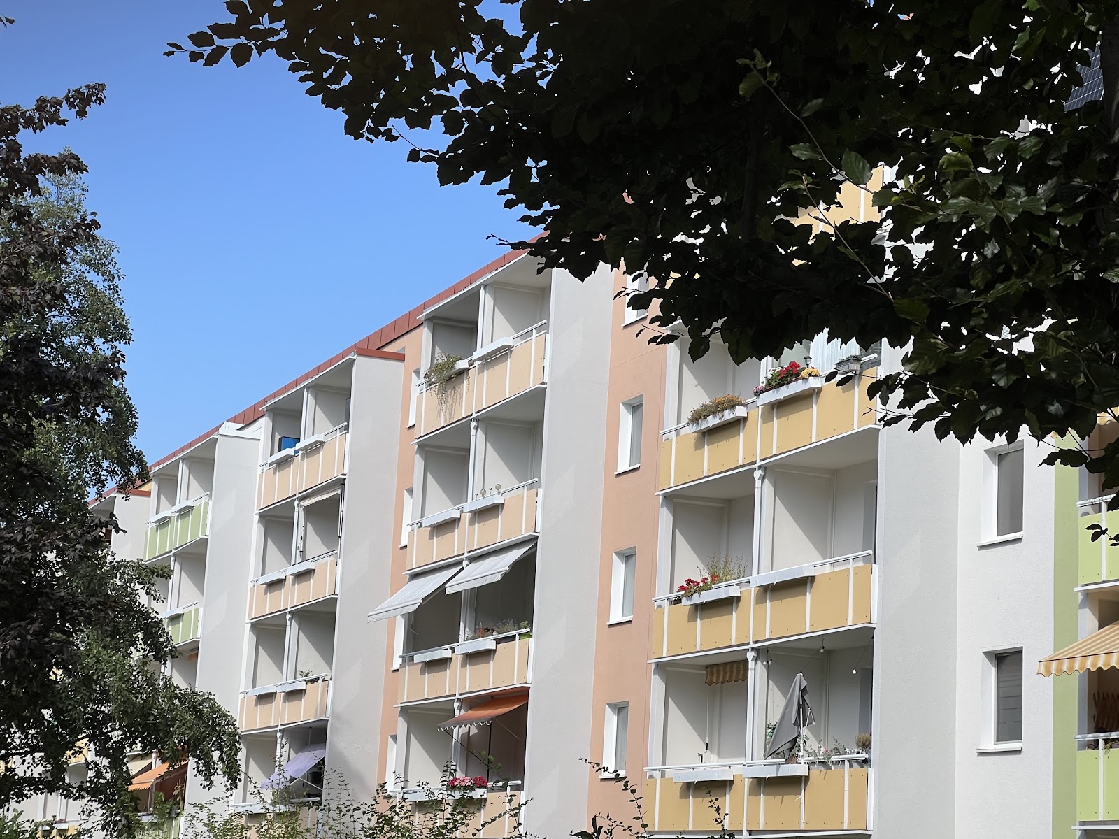 3-Zimmer-Wohnung mit Balkon sucht Lieblingsmieter – Chemnitz – Bild 1 von 12