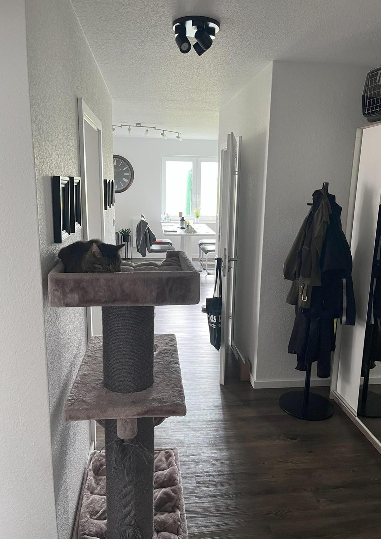 Helle 3-Zimmer-Wohnung mit Terrasse in ruhiger Lage – Neubaugebiet in Großenmeer/Ovelgönne – Ovelgönne – Vorschaubild 6