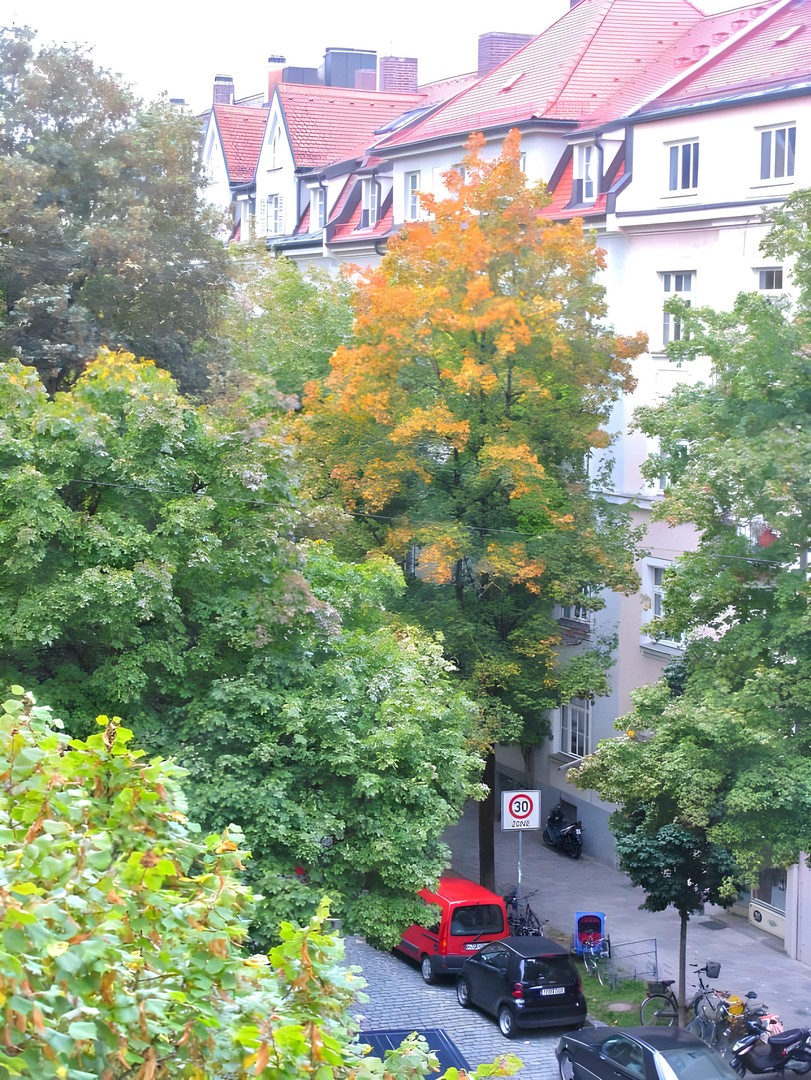Elegante helle 3,5-zimmer-Altbauwohnung mit Balkon in toller Lage! – München – Vorschaubild 3