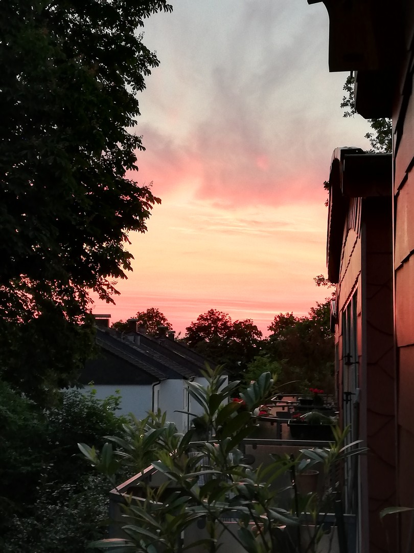 Charmante 3-Zimmer-Maisonettewohnung, TG-Stellplatz & Balkon in grüner Lage von Hamburg Meiendorf – Hamburg – Vorschaubild 36