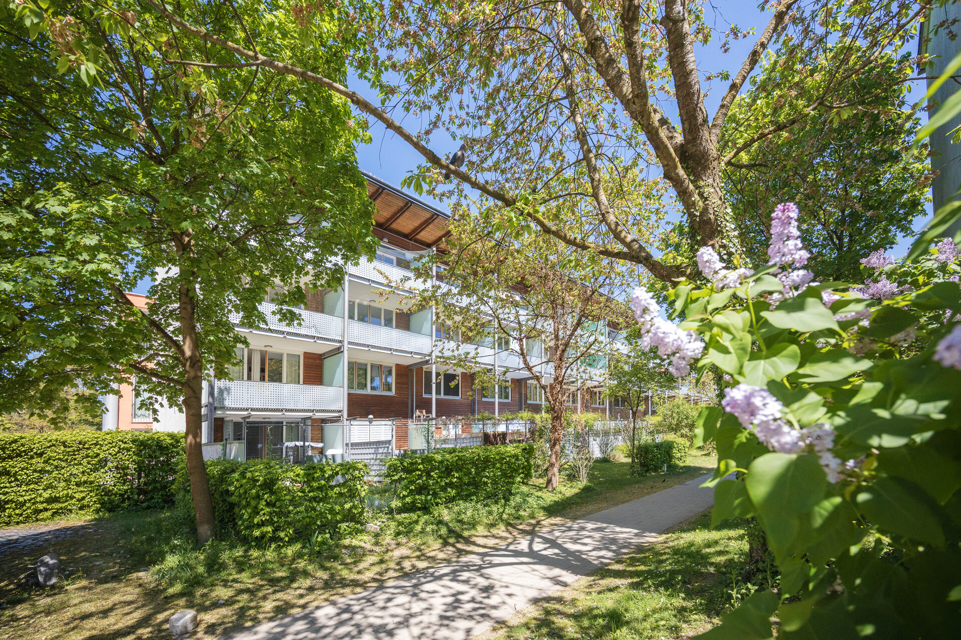 Garten-Maisonette (EG+1.OG) in ruhiger Wohnlage, Besichtigung Fr. 12.6. nach Vereinbarung – München / Feldmoching-Hasenbergl – Bild 1 von 17