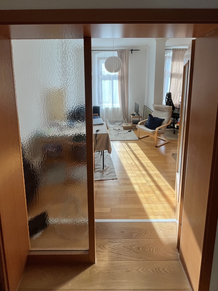 Klein und fein: freiwerdende 1-Raum-Wohnung in Dresden-Striesen – Dresden – Vorschaubild 4