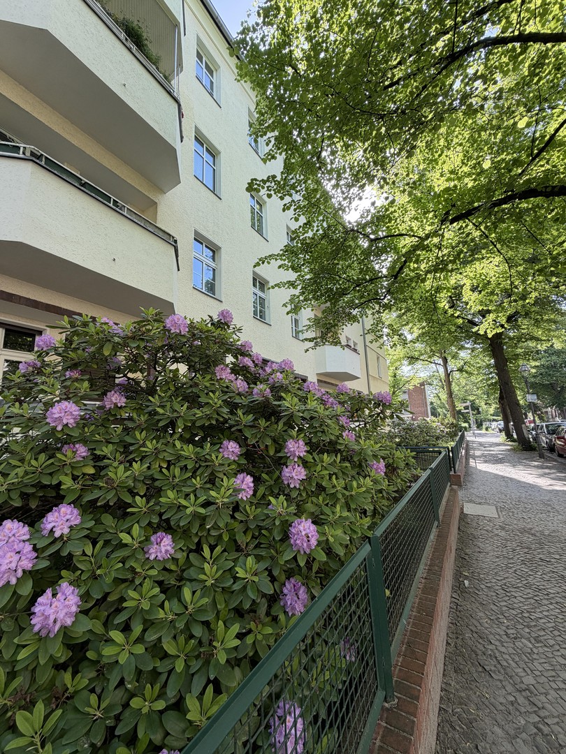 Provisionsfreie kernsanierte 5,5 Zimmer Wohnung in Schmagendorf