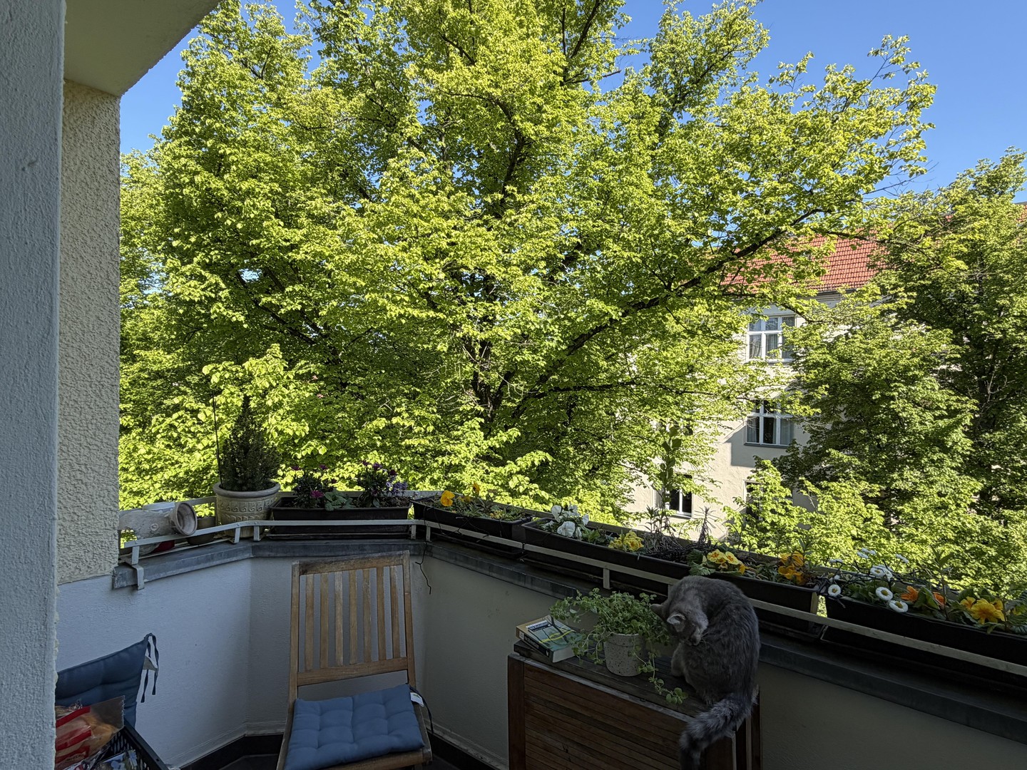 Provisionsfreie kernsanierte 5,5 Zimmer Wohnung in Schmagendorf – Berlin – Vorschaubild 4