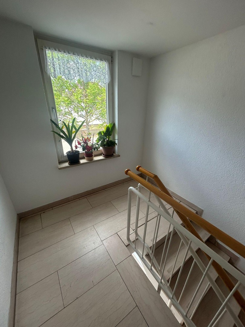 Sonne rein, Alltag raus! Helle 1-Zimmer-Wohnung mit Wohlfühlfaktor – Petershagen/Eggersdorf – Vorschaubild 15