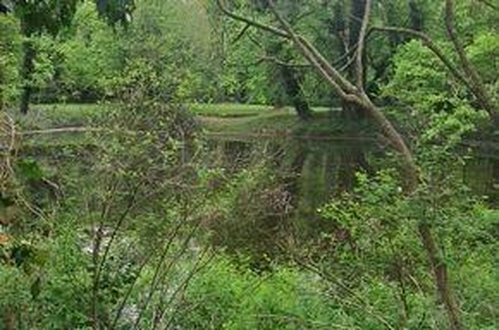 wohnen am Park – Ragow-Merz, Ragow – Vorschaubild 2
