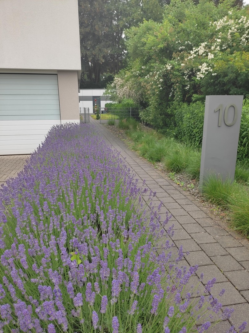Komfort-Wohnun Bj. 2014 (ca. 80 qm) / Barrierefrei / Kleve-Materborn / hochwertige Möbel. – Kleve – Bild 1 von 14