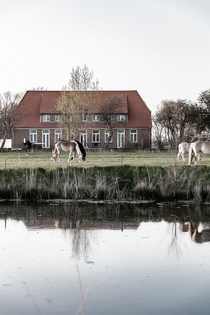 Rarität auf Eiderstedt – Traumwohnung nahe St. Peter-Ording & Nordsee | Provisionsfrei – Vollerwiek – Vorschaubild 21