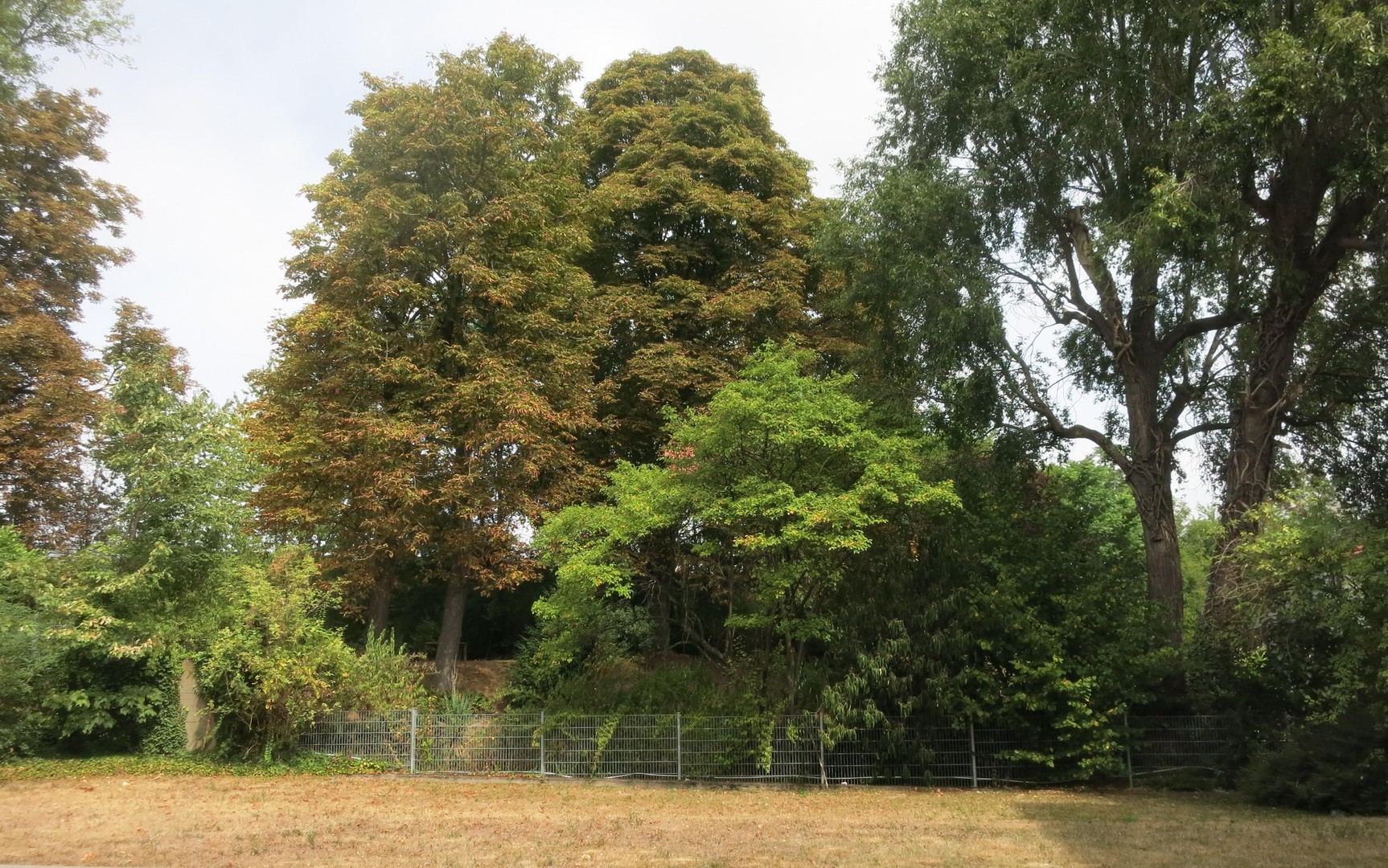 Schönes Apartment in Köln-Mülheim in ruhiger Bestlage mit Gartenblick – Köln – Bild 1 von 8