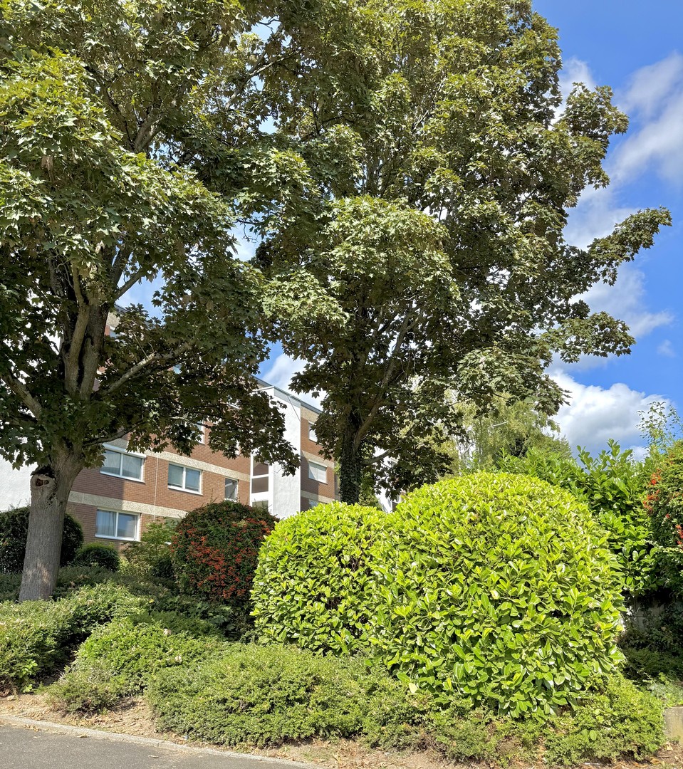 Einzugsbereit und Provisionsfrei * Sonnendurchflutete 2-Zi.-Whg. Stellplatz / sonnig. Balkon – Wiesbaden – Vorschaubild 11