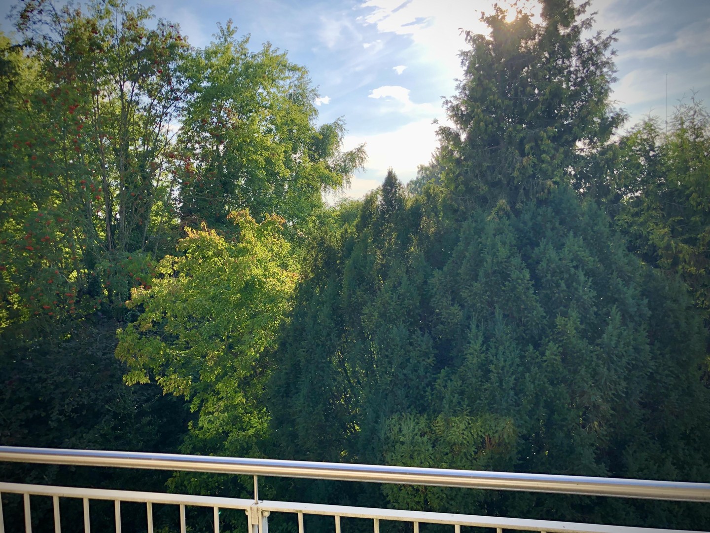 *** Helle 3 Zimmer Wohnung mit ruhiger Westterrasse in Bogenhausen Denning *** – München – Vorschaubild 3