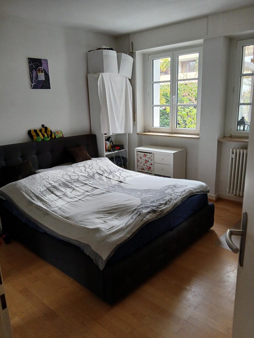 Ruhige Erdgeschosswohnung mit einmaligem Garten in zentraler Lage in der Unterwiehre – Freiburg – Vorschaubild 10