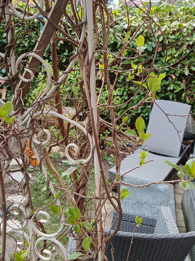 Ruhige Erdgeschosswohnung mit einmaligem Garten in zentraler Lage in der Unterwiehre – Freiburg – Vorschaubild 11