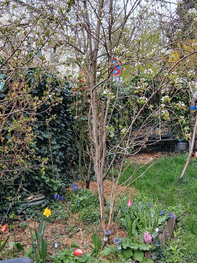 Ruhige Erdgeschosswohnung mit einmaligem Garten in zentraler Lage in der Unterwiehre – Freiburg – Vorschaubild 13
