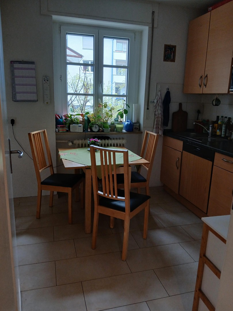 Ruhige Erdgeschosswohnung mit einmaligem Garten in zentraler Lage in der Unterwiehre – Freiburg – Vorschaubild 17