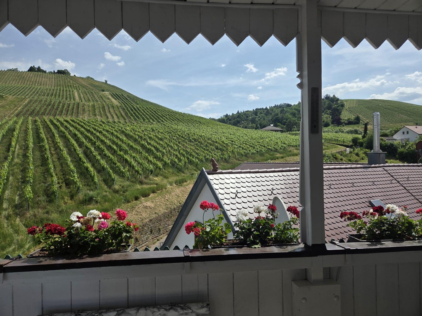 Provisionsfrei! Panoramablick direkt an den Weinbergen Untertürkheims