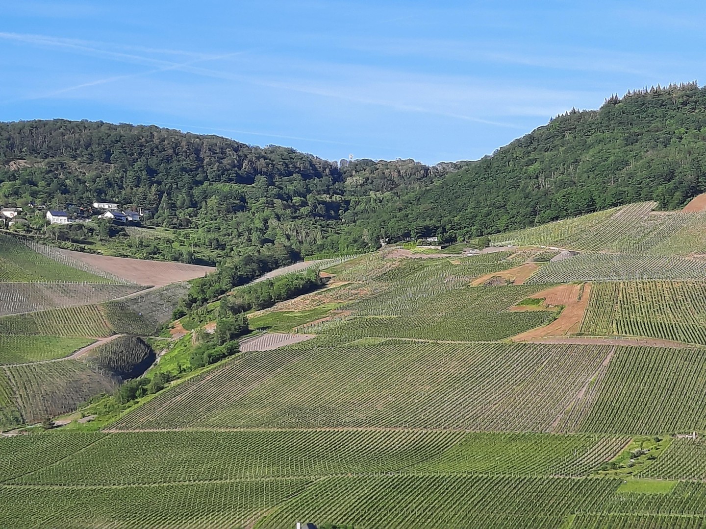 Wohnung zum Kauf – Bernkastel-Kues – Vorschaubild 2
