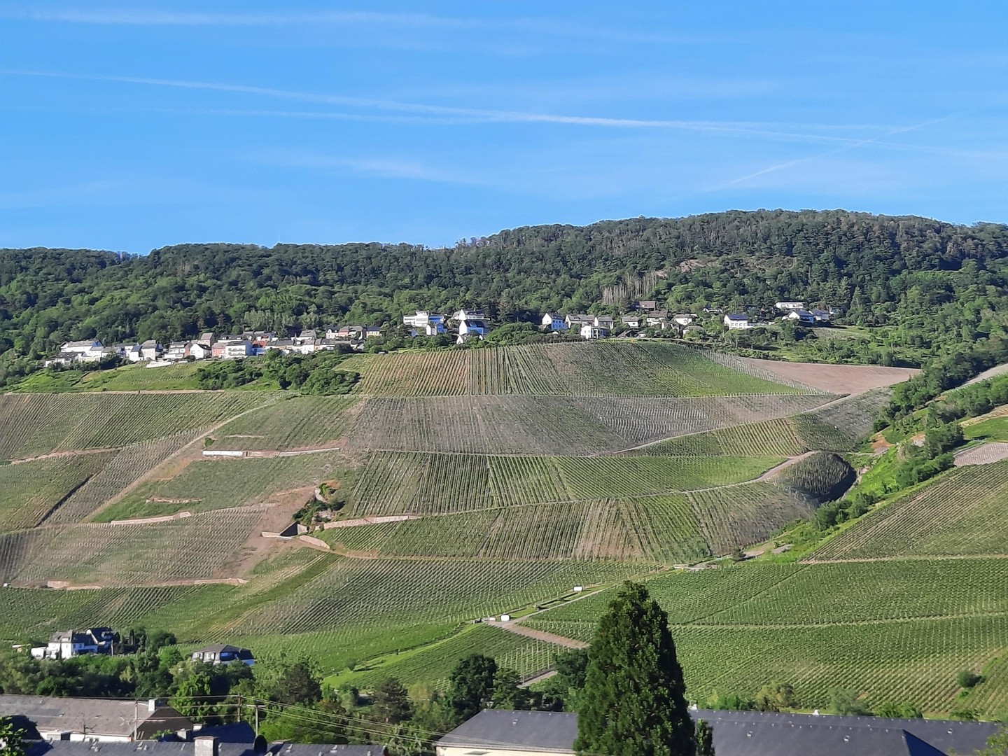 Wohnung zum Kauf – Bernkastel-Kues – Vorschaubild 3