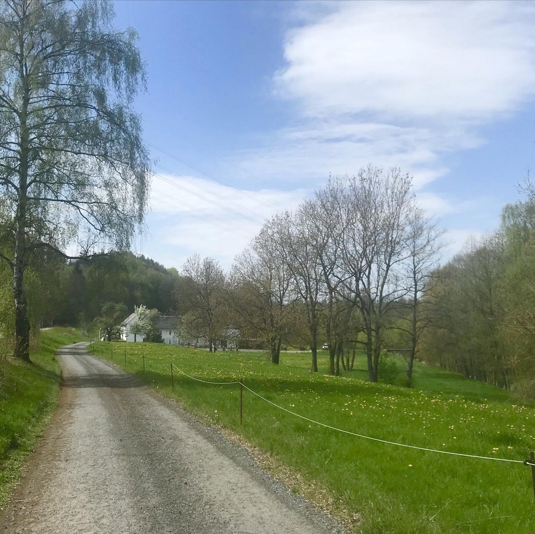 Glücksmühle-ehem. Wassermühle in herrlicher Lage, ohne Provision, kein Denkmalschutz – Schleiz – Vorschaubild 2
