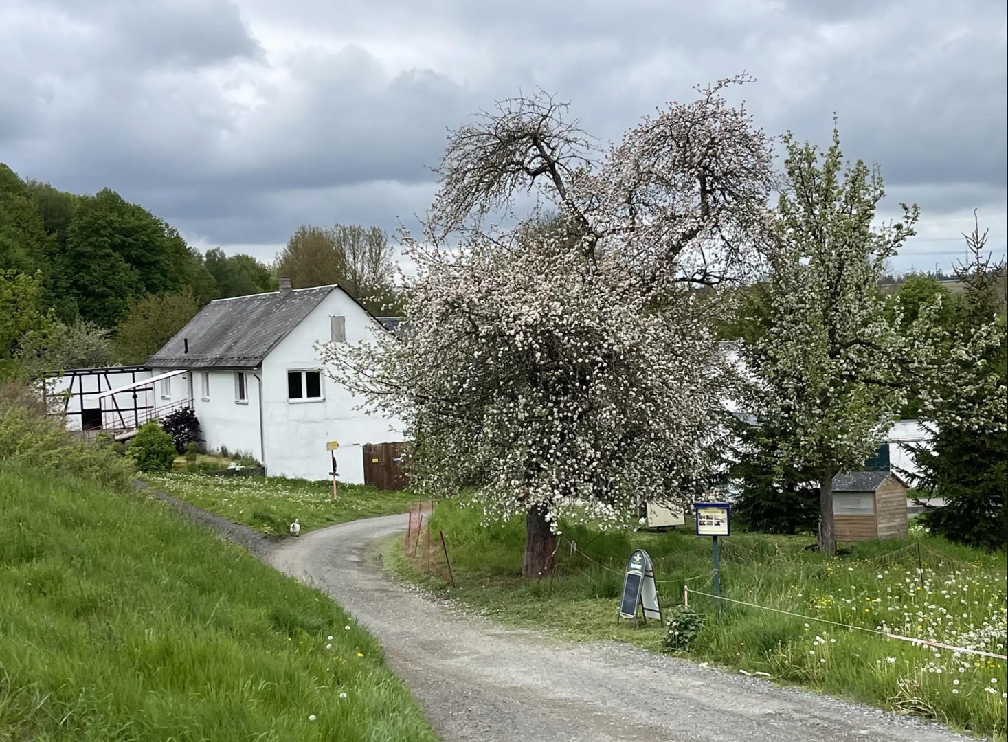 Glücksmühle-ehem. Wassermühle in herrlicher Lage, ohne Provision, kein Denkmalschutz – Schleiz – Vorschaubild 3
