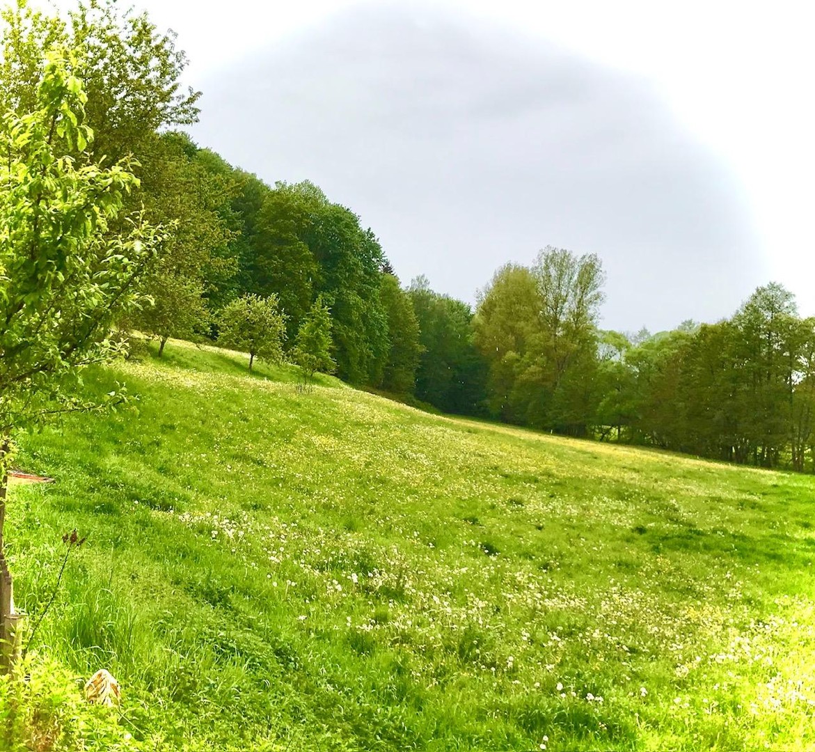 Glücksmühle-ehem. Wassermühle in herrlicher Lage, ohne Provision, kein Denkmalschutz – Schleiz – Vorschaubild 5