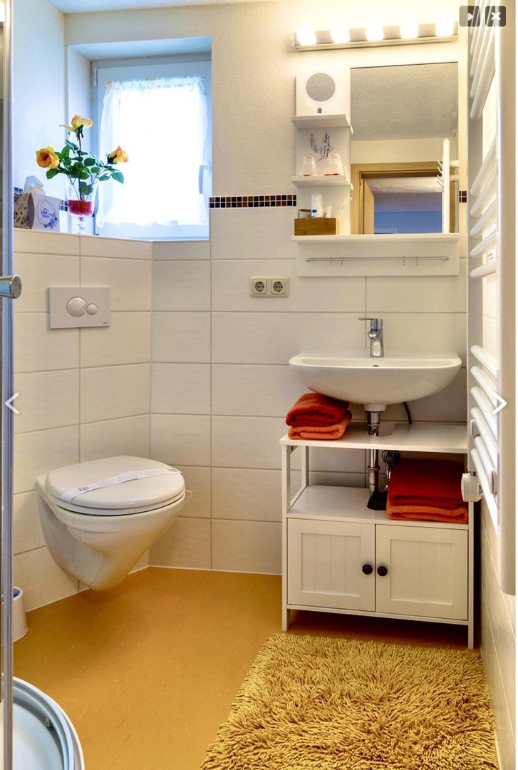 Glücksmühle-ehem. Wassermühle in herrlicher Lage, ohne Provision, kein Denkmalschutz – Schleiz – Vorschaubild 13