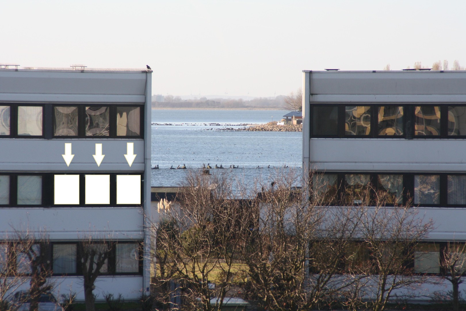 Modernisierte Ferienwohnung am Yachthafen Burgtiefe auf Fehmarn Maklerfrei! – Fehmarn – Vorschaubild 43