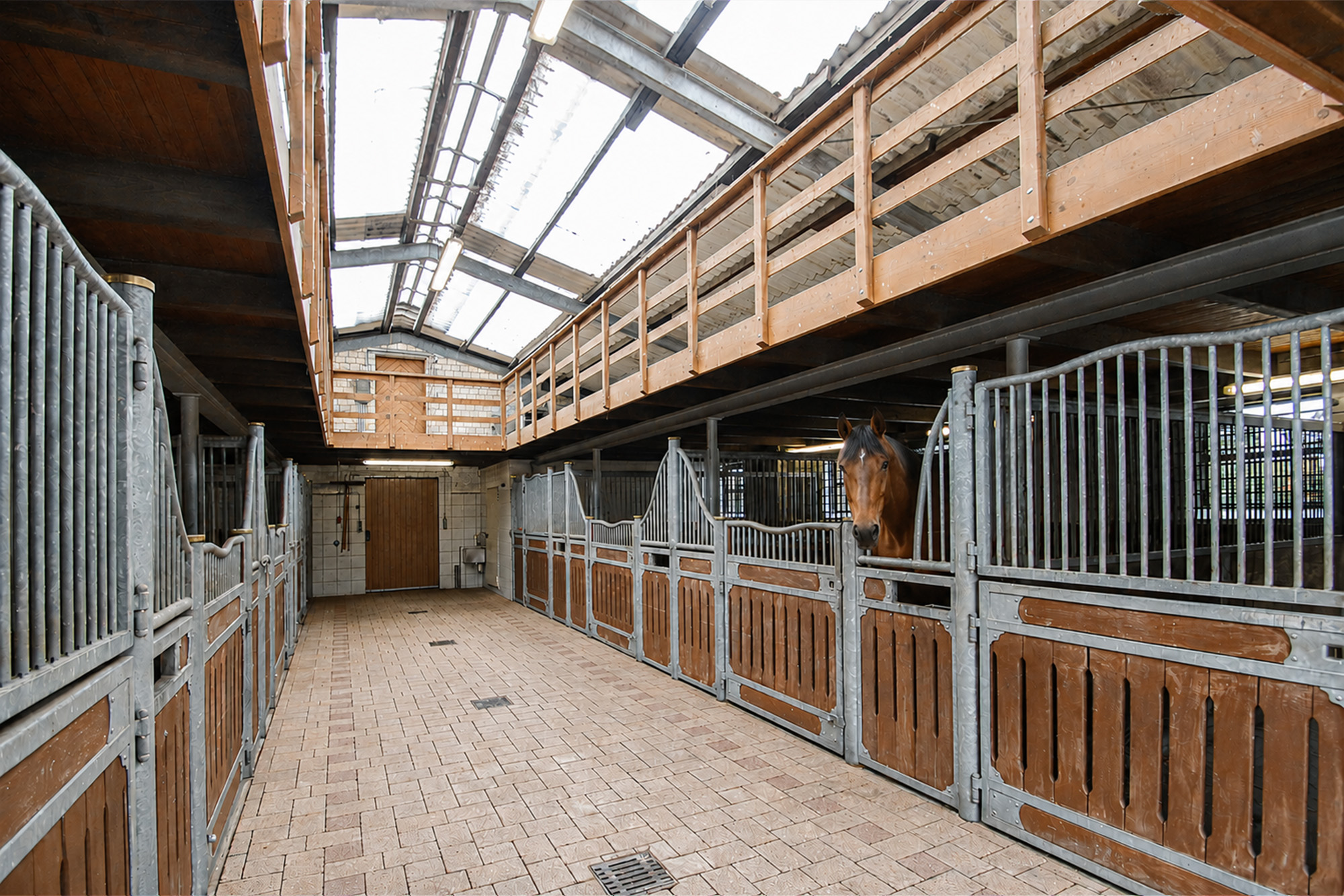 Wohnen auf dem Reiterhof – Dorsten – Vorschaubild 10