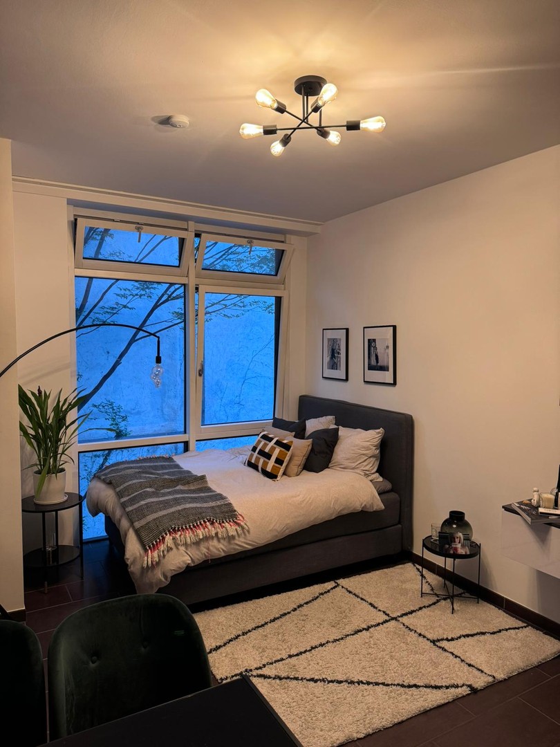 Großes Apartment, Möbiliert, im Zentrum Münchens ab 01.08.26 zu vermieten – München – Vorschaubild 3
