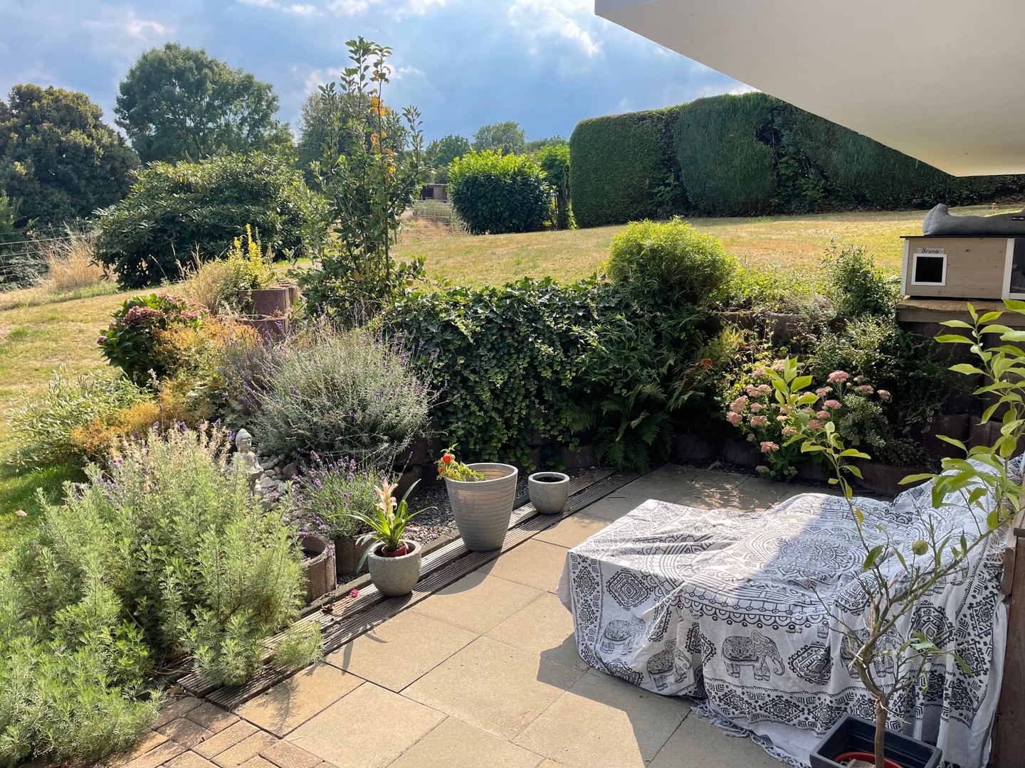 Helle freundliche 2-Zimmerwohnung mit 20qm großer Süd-West-Terrasse und neuem Badezimmer – Dortmund – Vorschaubild 22