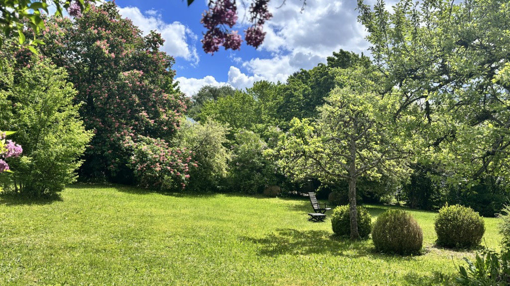 Das BESONDERE - – Tutzing – Vorschaubild 3