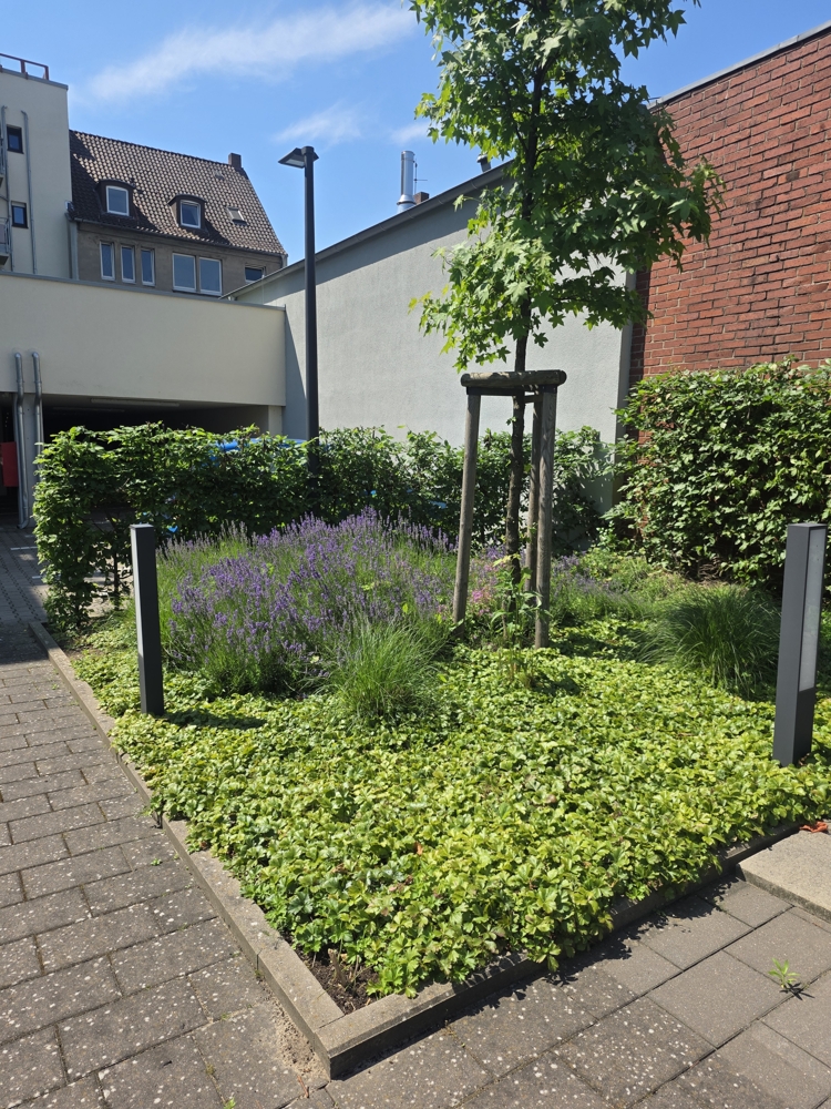 Hochwertige Eigentumswohnung im Haus Camelot, Osnabrück Innenstadt – Osnabrückk – Vorschaubild 17