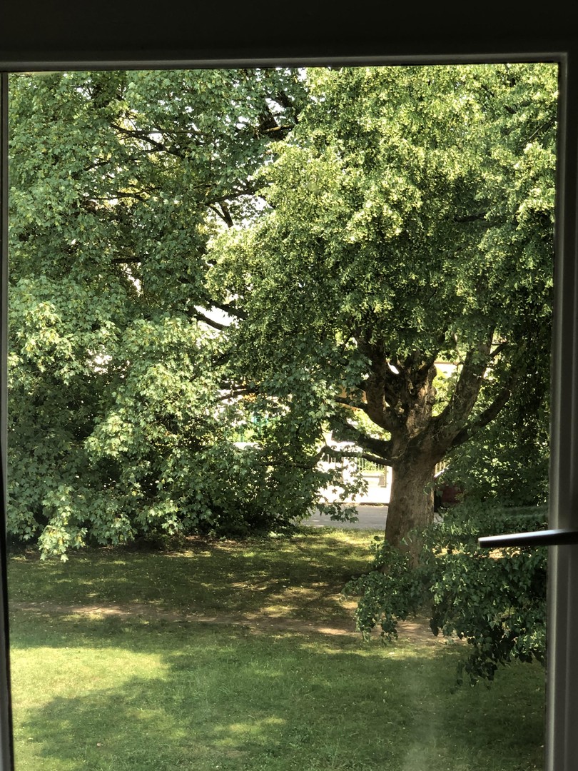 Helle 2-Zimmer-Wohnung, ruhige Lage in Moosach, Balkon mit Blick ins Grüne, möbliert übernehmbar – München – Vorschaubild 11
