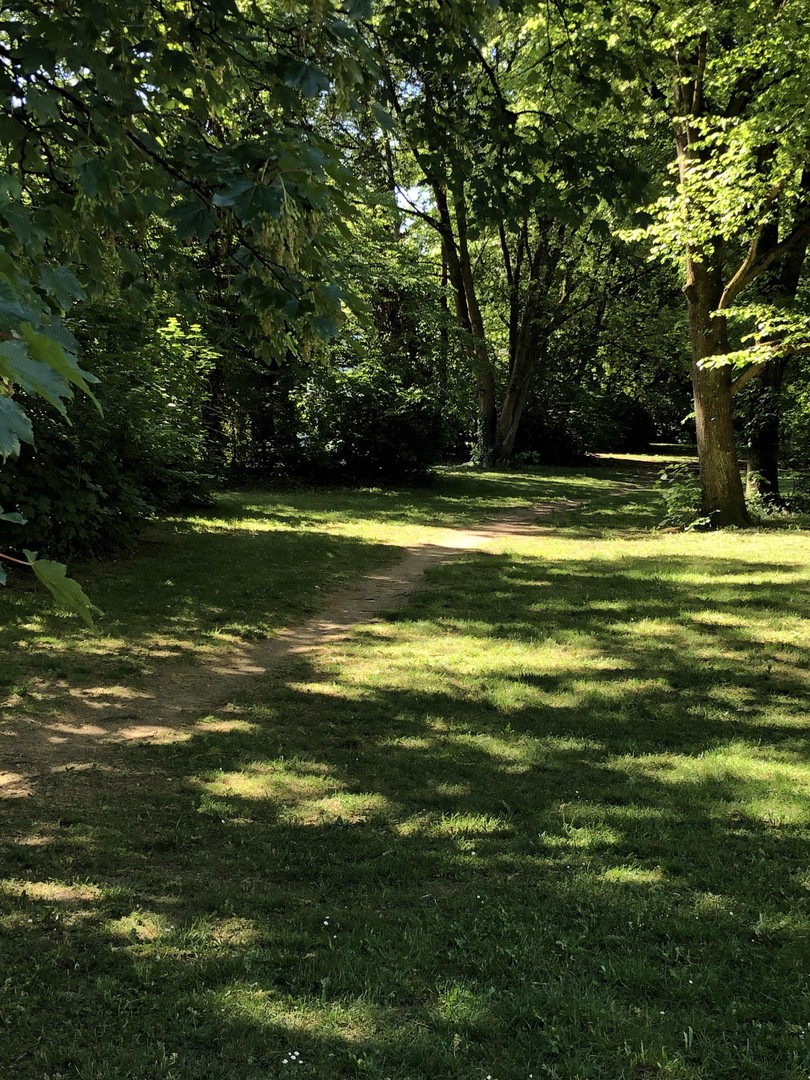 Helle 2-Zimmer-Wohnung, ruhige Lage in Moosach, Balkon mit Blick ins Grüne, möbliert übernehmbar – München – Vorschaubild 20