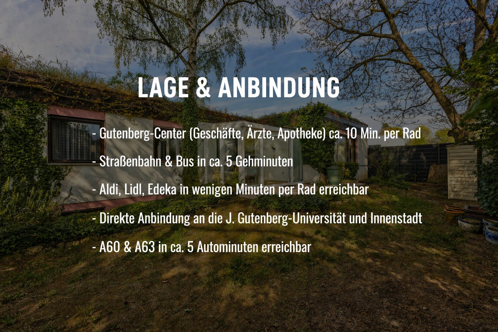 Freistehendes Haus mit Naturgarten (Biotop) und Dachgarten – Mainz – Vorschaubild 24
