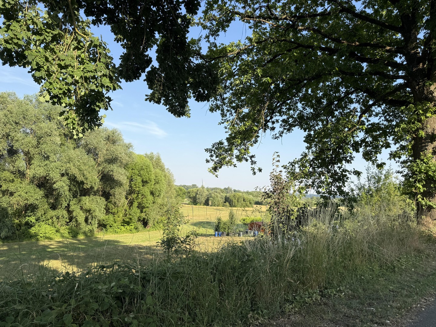 Naturnah und gesund leben , ein Traum für Naturliebhaber – Bad Rappenau – Vorschaubild 8