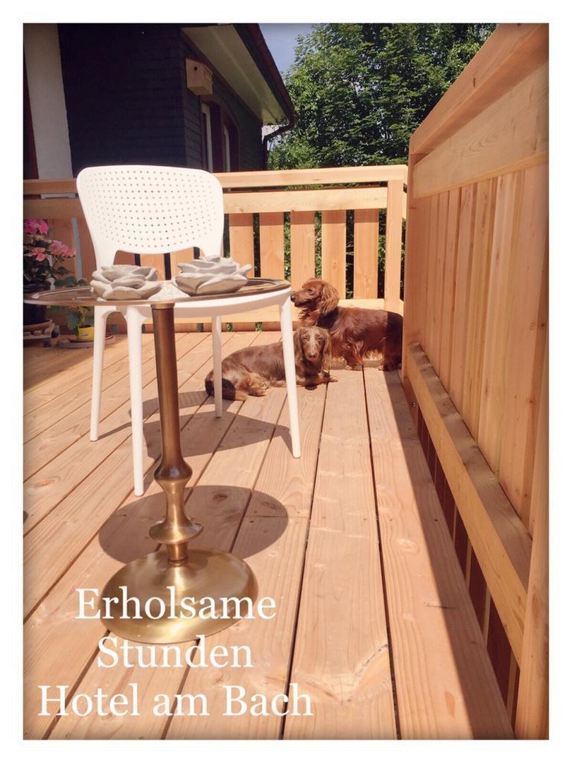 Traumhaus / Kleinod / Kraftquelle mit Naturzugang – Hinterzarten – Vorschaubild 5