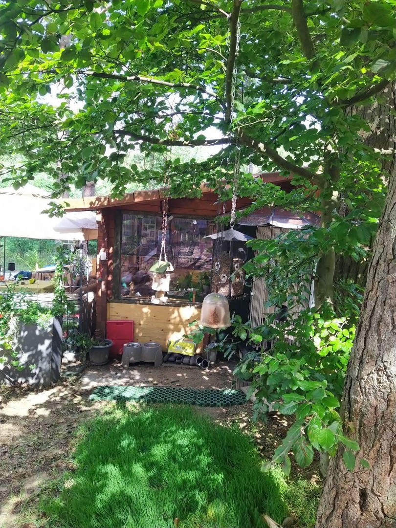 Ruhig, sicher und abseits von einer Stadt: Holzhaus Luxuslage im Wald eingebettet zwischen 3 Seen – Fürstenberg Havel OT Himmelpfort – Vorschaubild 2