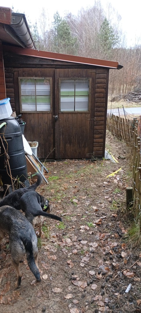 Ruhig, sicher und abseits von einer Stadt: Holzhaus Luxuslage im Wald eingebettet zwischen 3 Seen – Fürstenberg Havel OT Himmelpfort – Vorschaubild 20