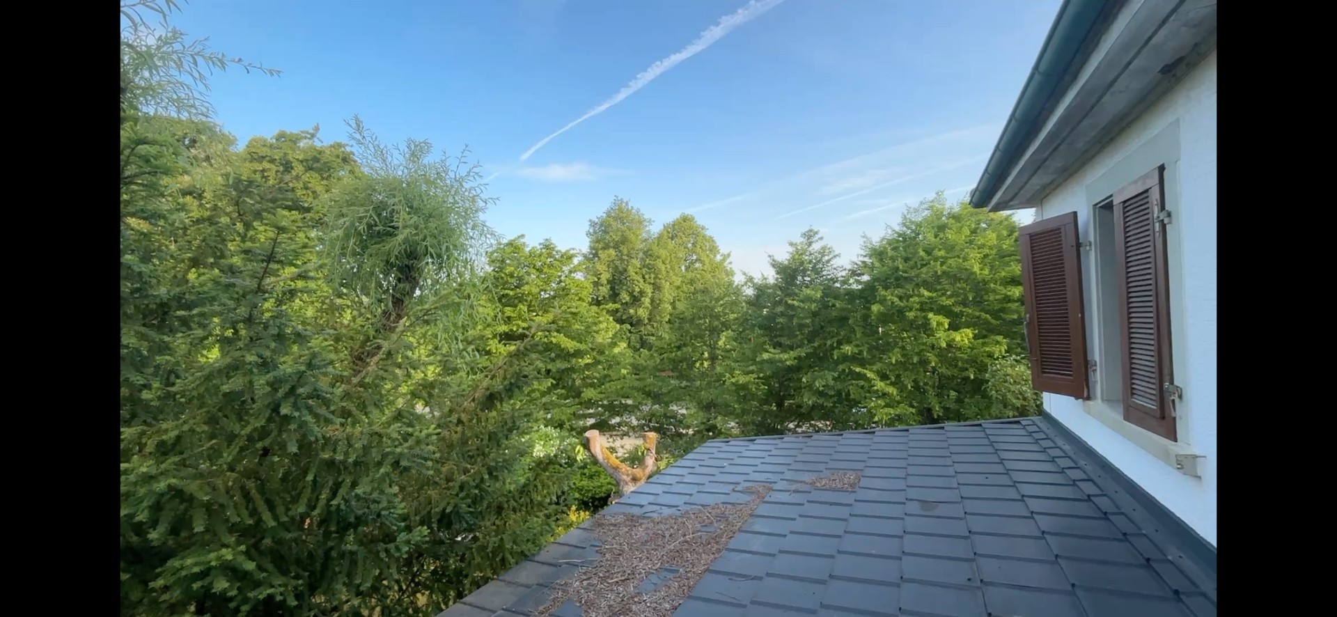 Freistehende Kaffeemühlenhaus Villa mit Naturgarten – Buchen/Odw. – Vorschaubild 13