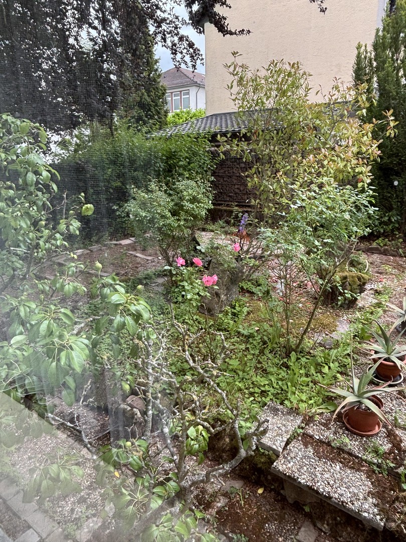 Freistehende Kaffeemühlenhaus Villa mit Naturgarten – Buchen/Odw. – Vorschaubild 41