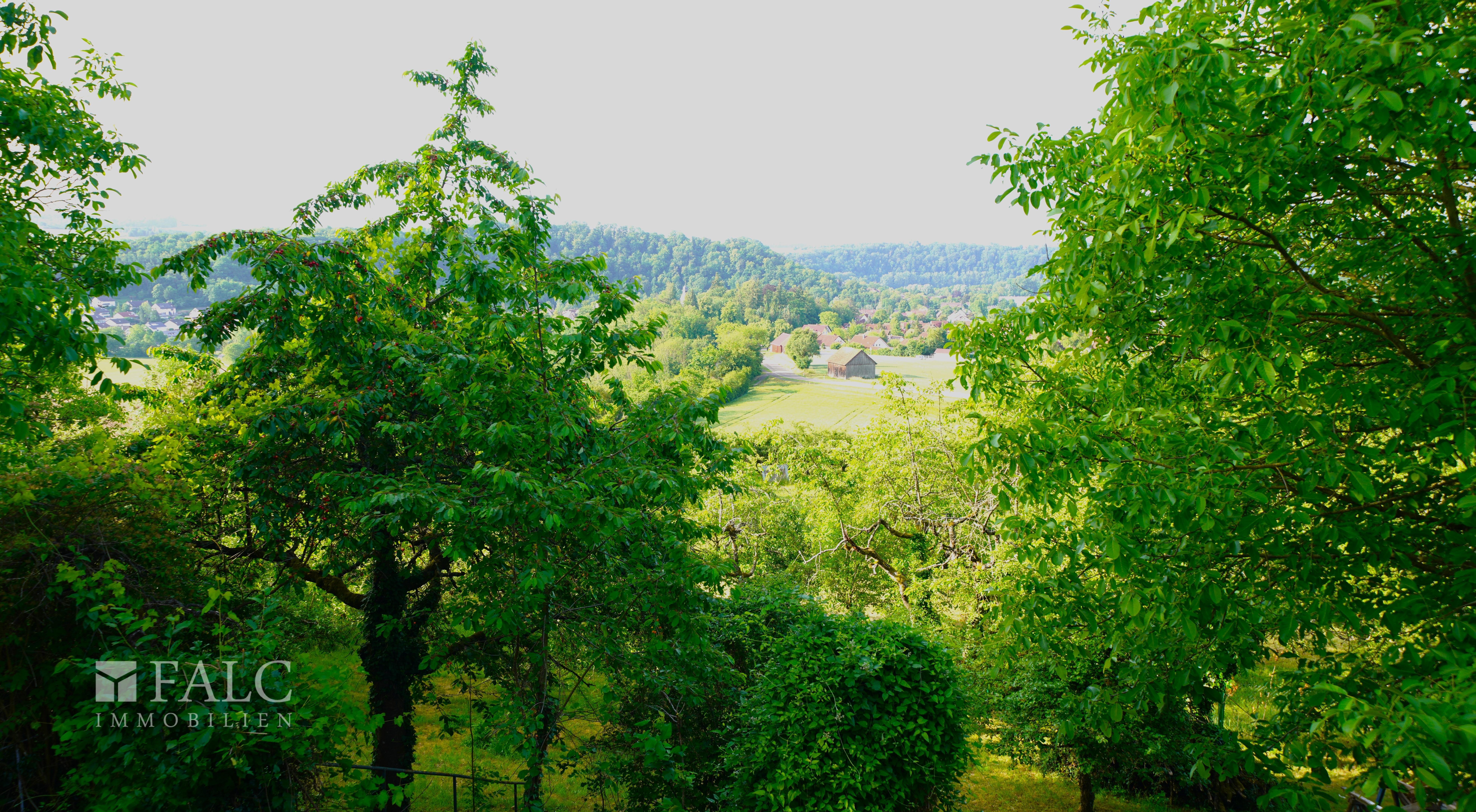 Naturparadies mit Weitblick auf die Stadt! Doppelhaus mit über 4.200 m² Grundstück - FALC Immobilien – Jagsthausen – Vorschaubild 34